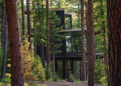 Tree Haus exterior 3